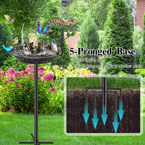 Dual-use design for bath and feeder invites daily feathered visitors.
