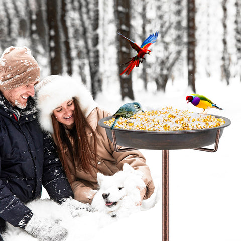 KHayRovies easy-assembly bird bath for quick placement in your yard.