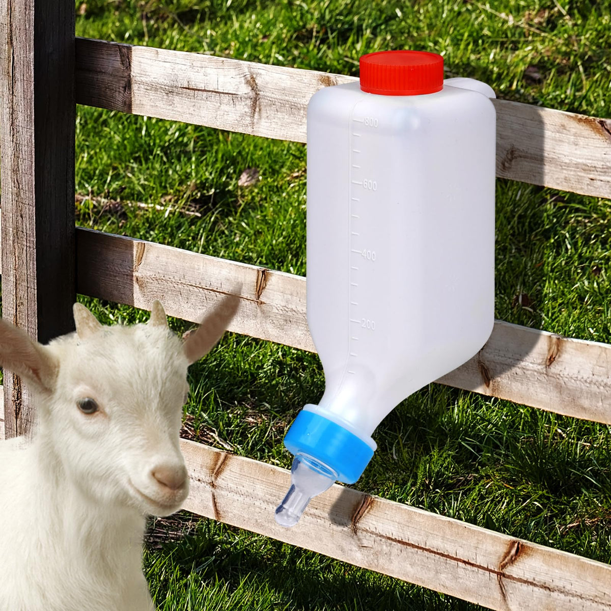 KHEARPSL 800ml lamb feeding bottle with durable design for efficient feeding