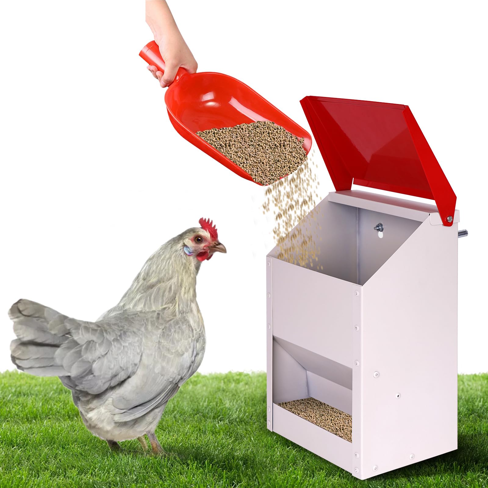 KHEARPSL galvanized wall mount chicken feeder with lid keeps feed dry outdoors.