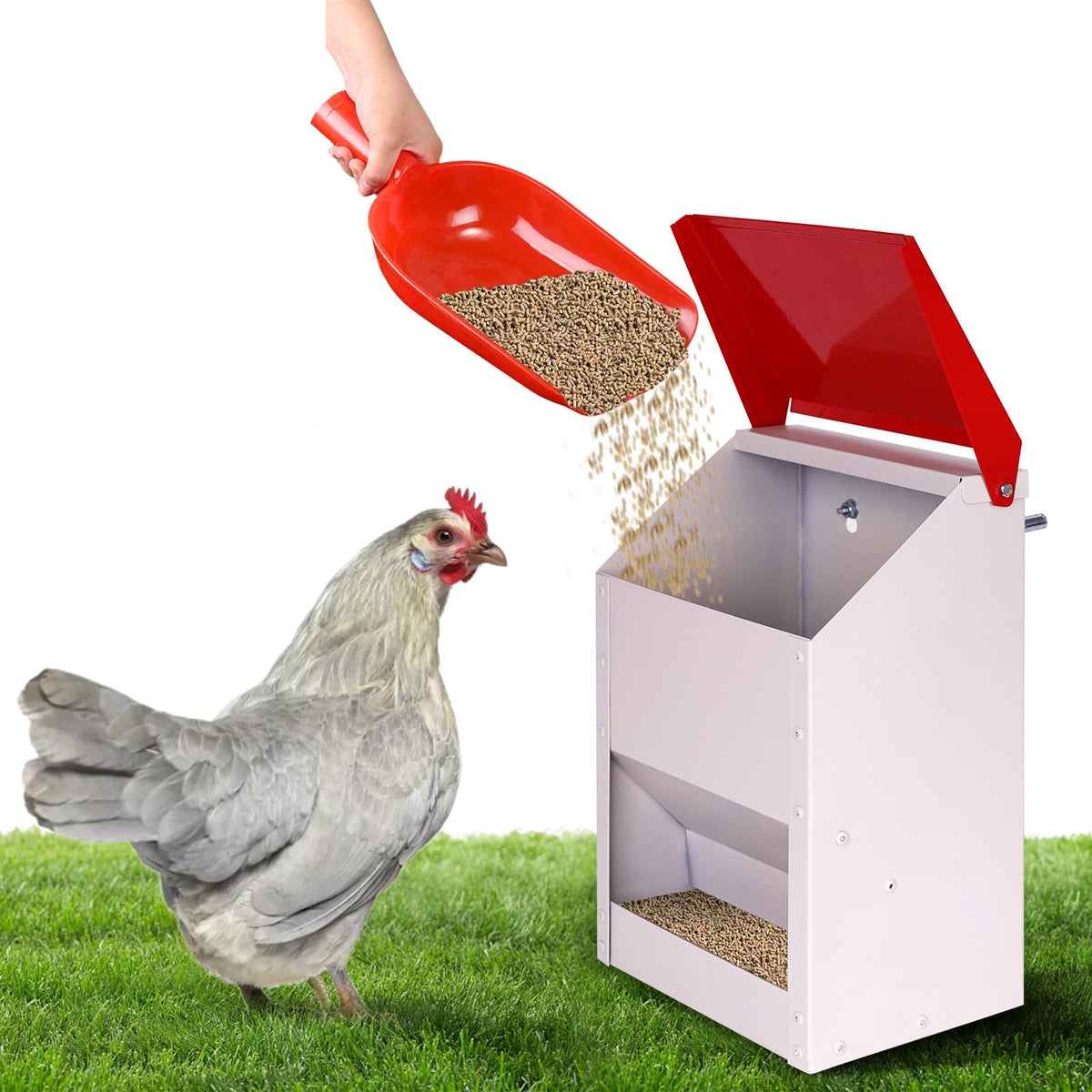 KHEARPSL galvanized wall mount chicken feeder with lid keeps feed dry outdoors.