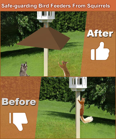 Khordin bird feeder protection pole-mount keeps feeding birds safe.