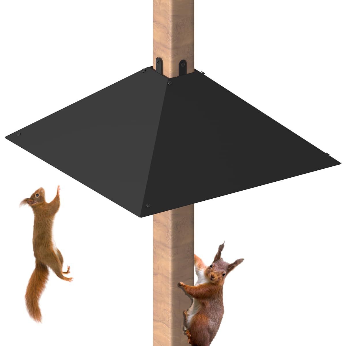 Khordin squirrel-baffle on a 4x4 post for sturdy pole mounting.
