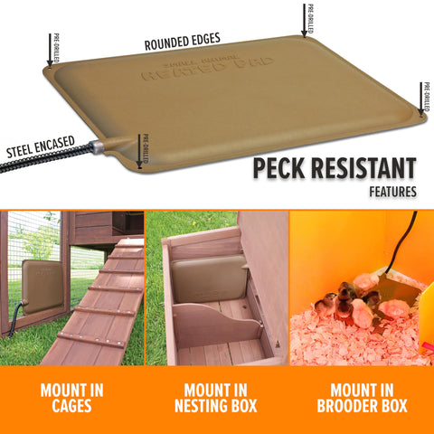 K&amp;H Thermo-Peep chicks heat pad keeps young poultry comfy