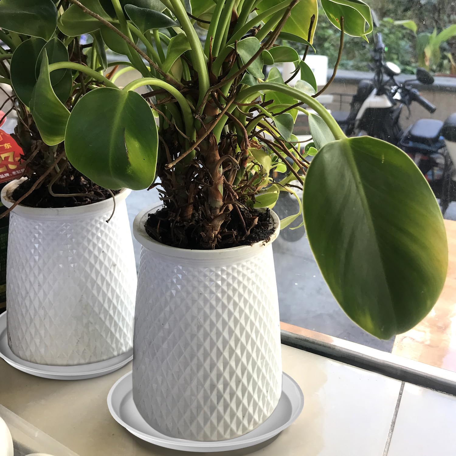 Kichwit deep saucer serves as balcony water receptacle for plants.