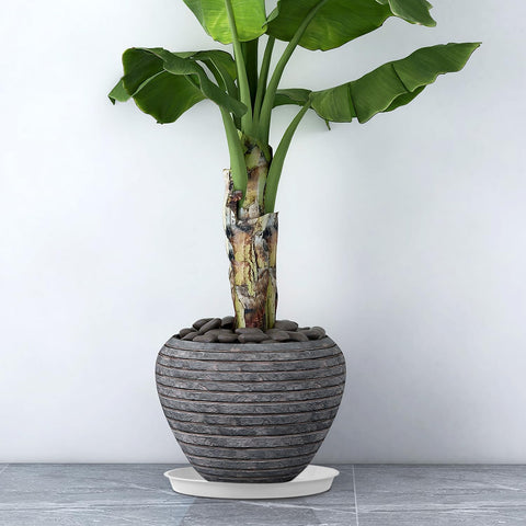 Kichwit durable plastic saucer supports heavy pots without bending.