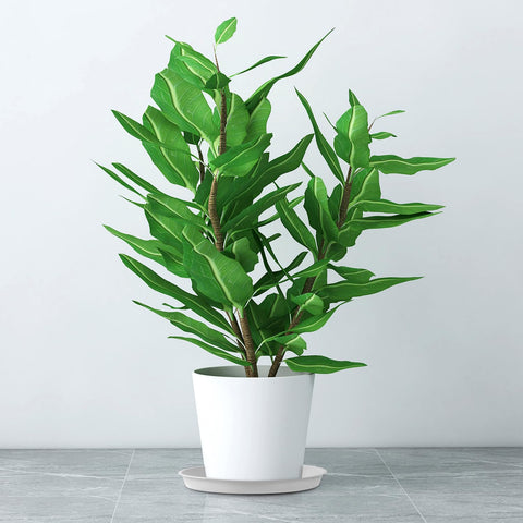 Kichwit easy-clean plant tray keeps pots tidy after watering.