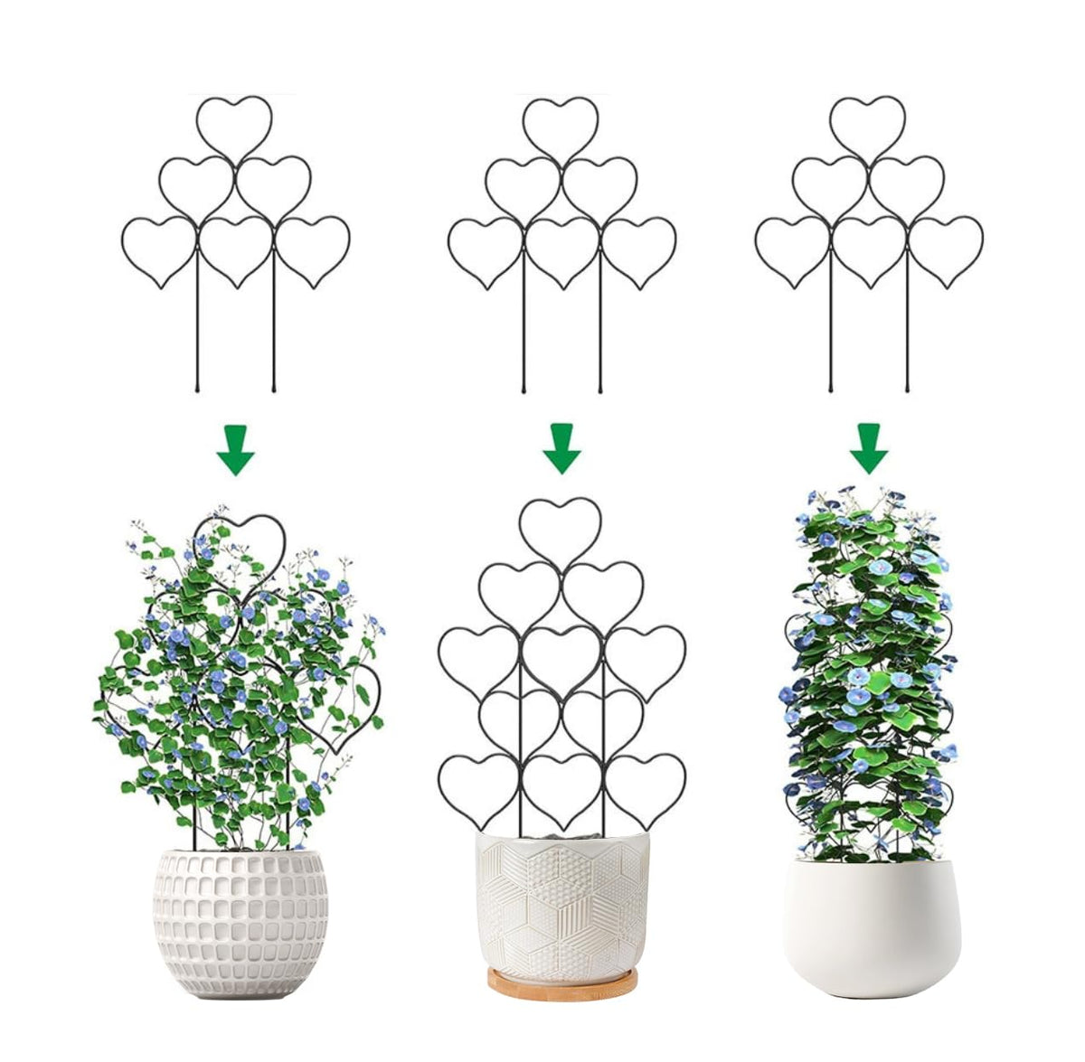 Kichwit garden trellis pack 3 side view provides sturdy vertical support for small indoor plants.