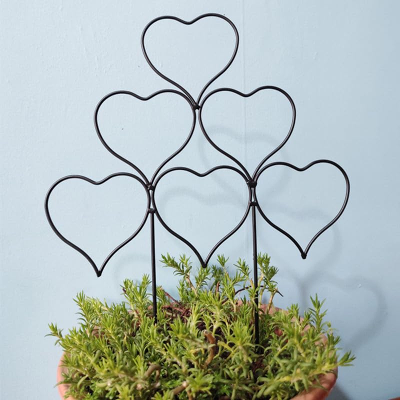 Kichwit heart-pattern trellis detail enhances indoor plant display aesthetics.