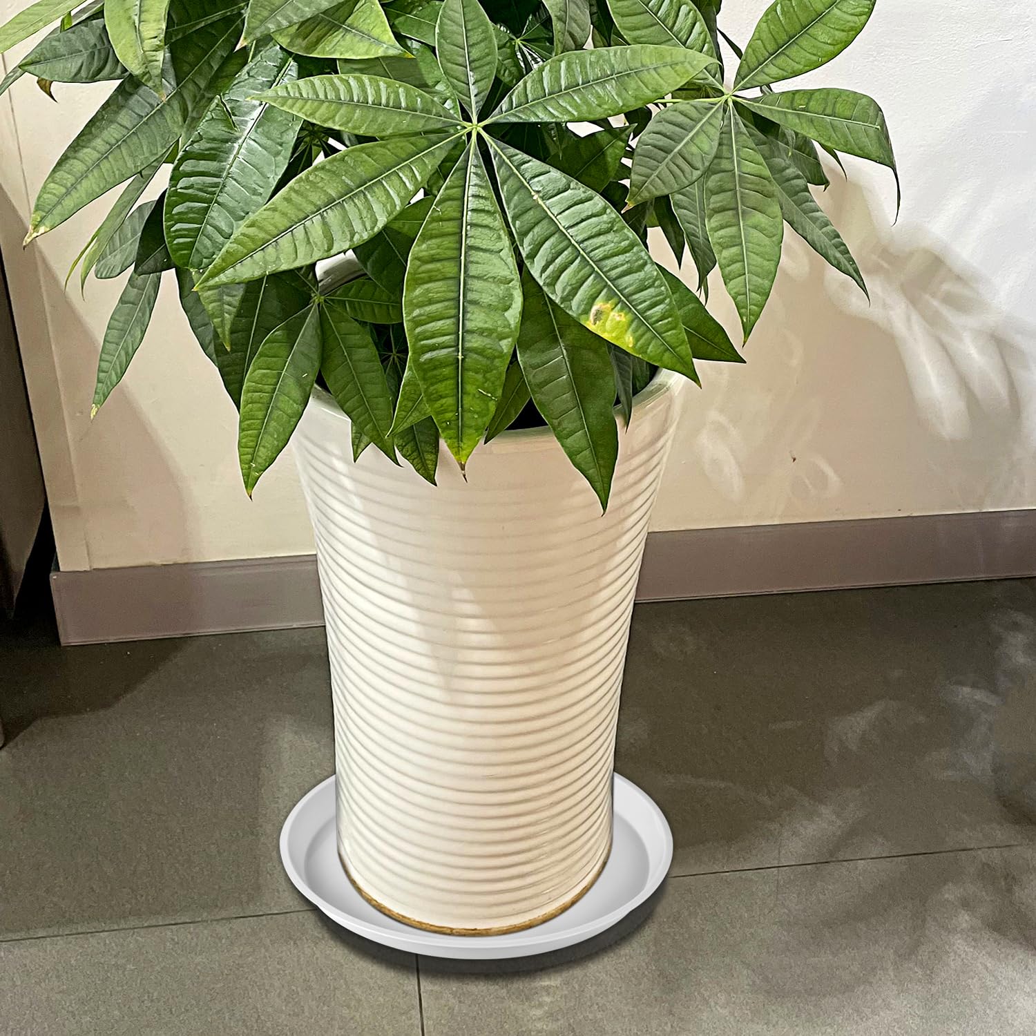 Kichwit neutral white saucer blends with decor while hosting drainage.