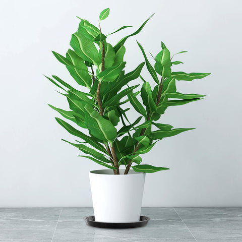Kichwit black durable plastic plant tray supporting a large ceramic pot
