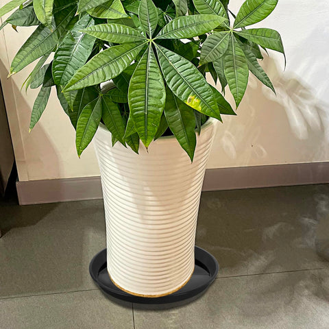 Kichwit 12in plant saucer under ceramic pot in black for stability
