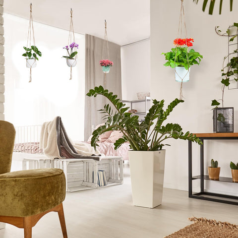 Kicovitifa lightweight jute hanger showcasing plants while saving floor space