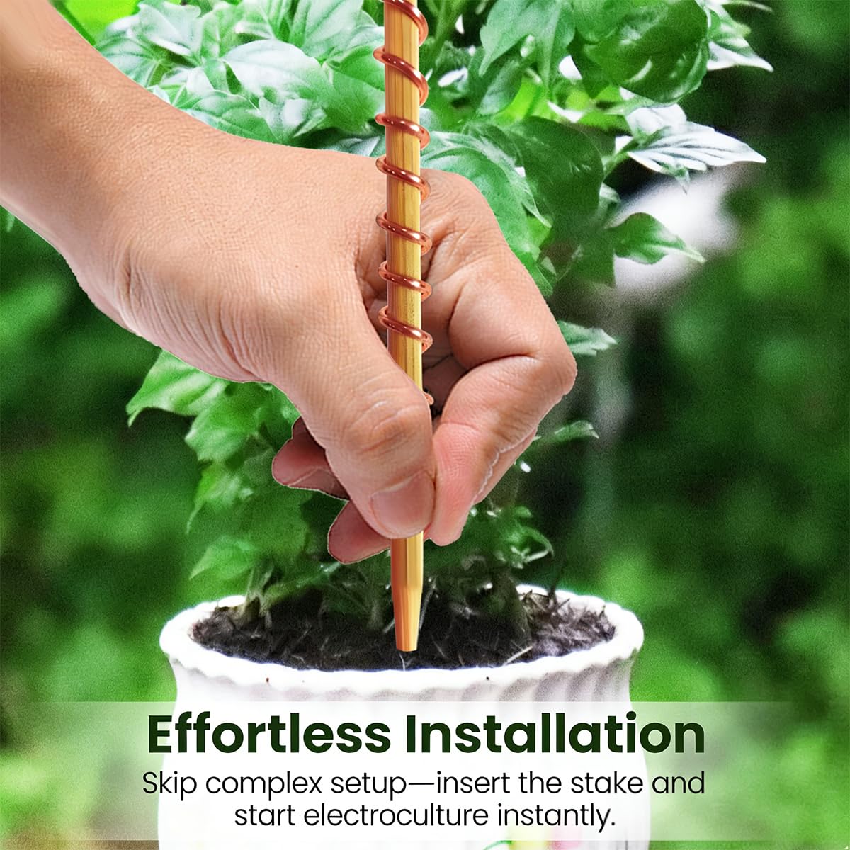 Kidpet clockwise winding copper wire suited for northern hemisphere gardens