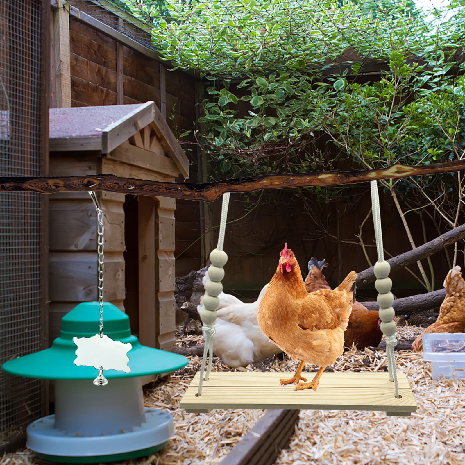 KIEYYRYT chicken mirror provides visual interest and boredom relief