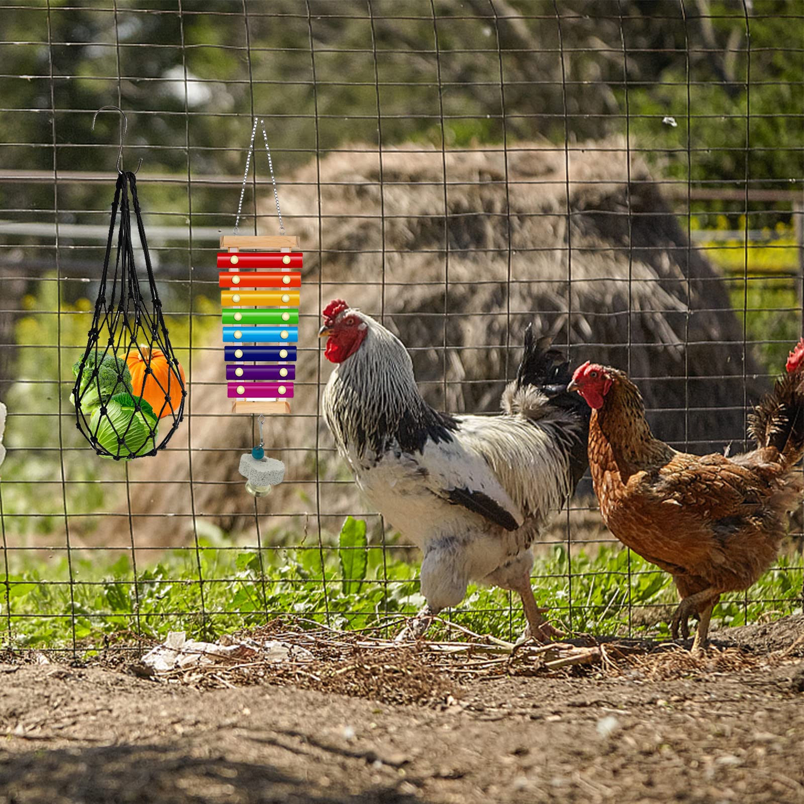 KIEYYRYT hanging vegetable feeder demonstrates easy coop installation and fresh produce access
