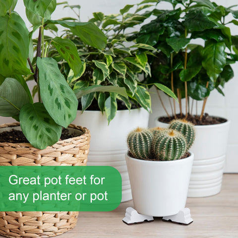 Kigeli outdoor patio planters with elevated drainage