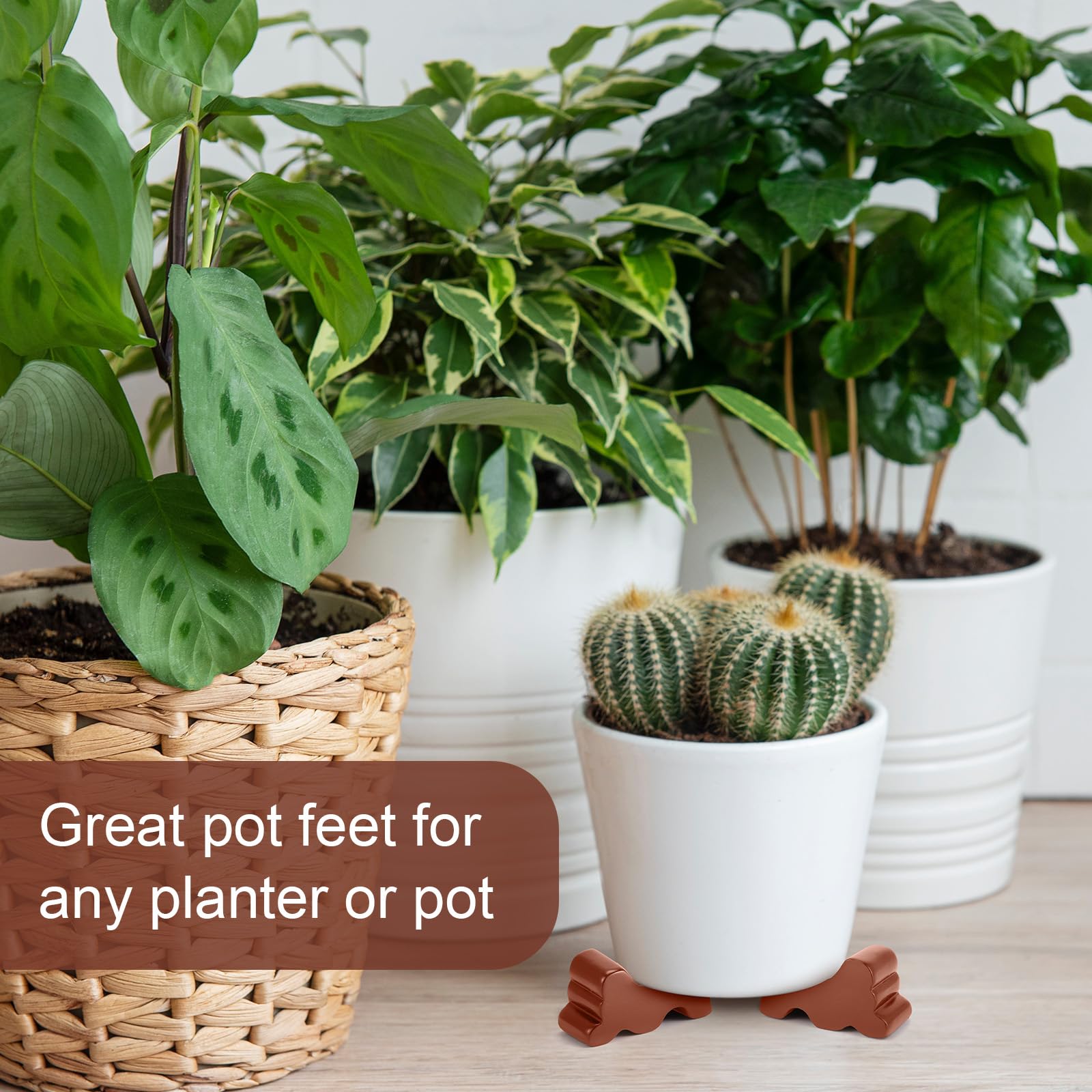 Kigeli six-pack pot feet ready for planter support