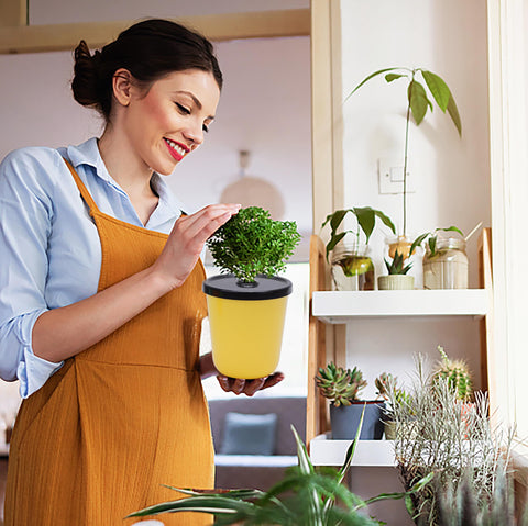 Kiicii gift-ready hydroponic kit for plant enthusiasts and beginners.