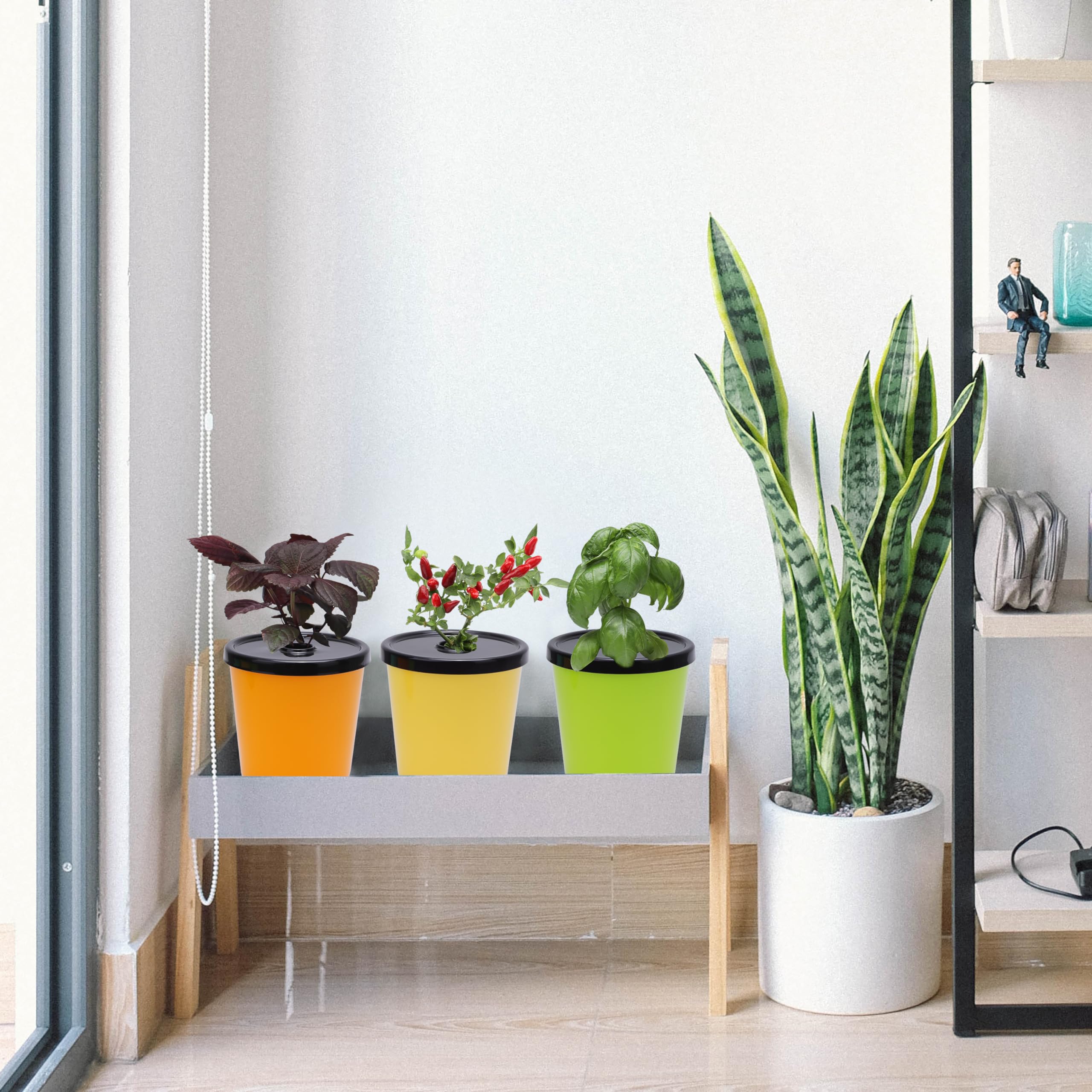 Kiicii colorful planters brighten home or office spaces for plant lovers.