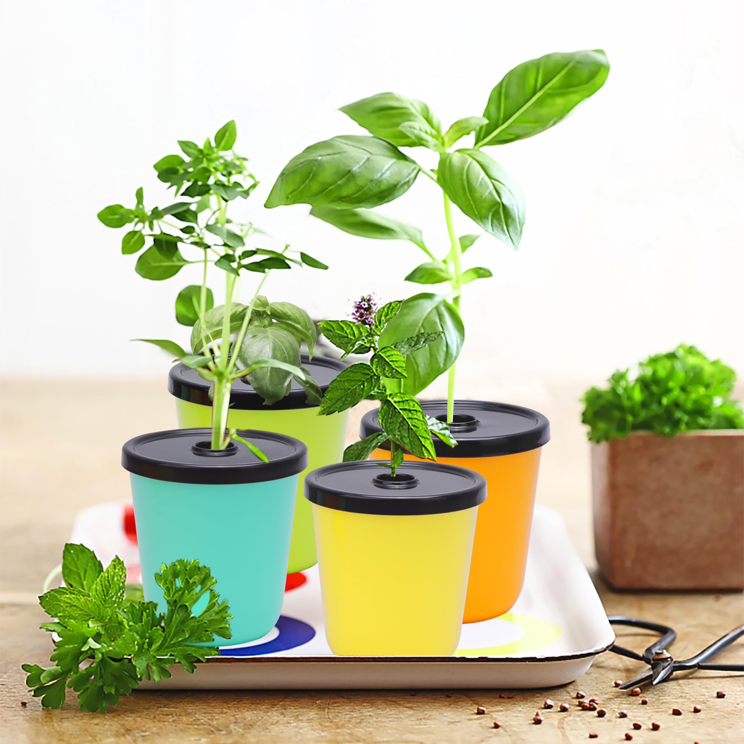 Kiicii grow sponges, 24 pieces, promote healthy root growth in a compact indoor garden.