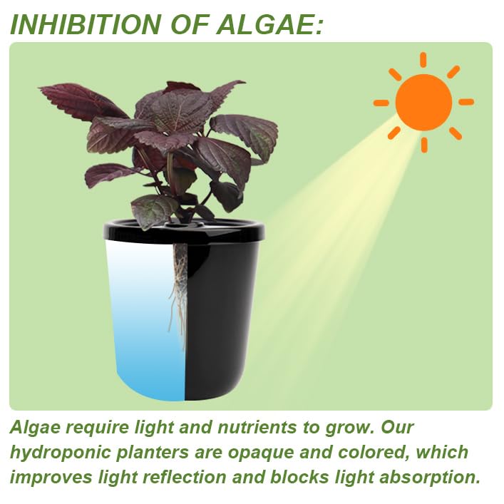 Kiicii hydroponic planter decor on a desk adds green flair