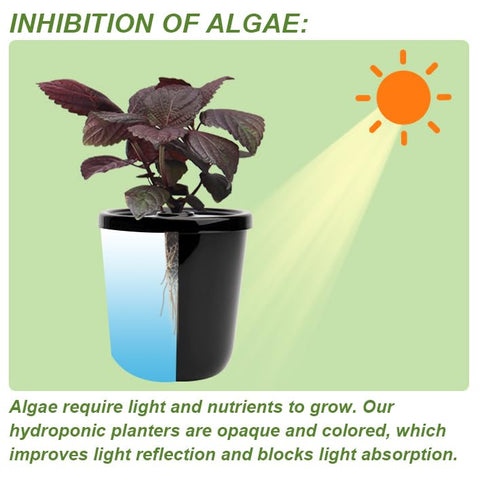Kiicii hydroponic planter decor on a desk adds green flair