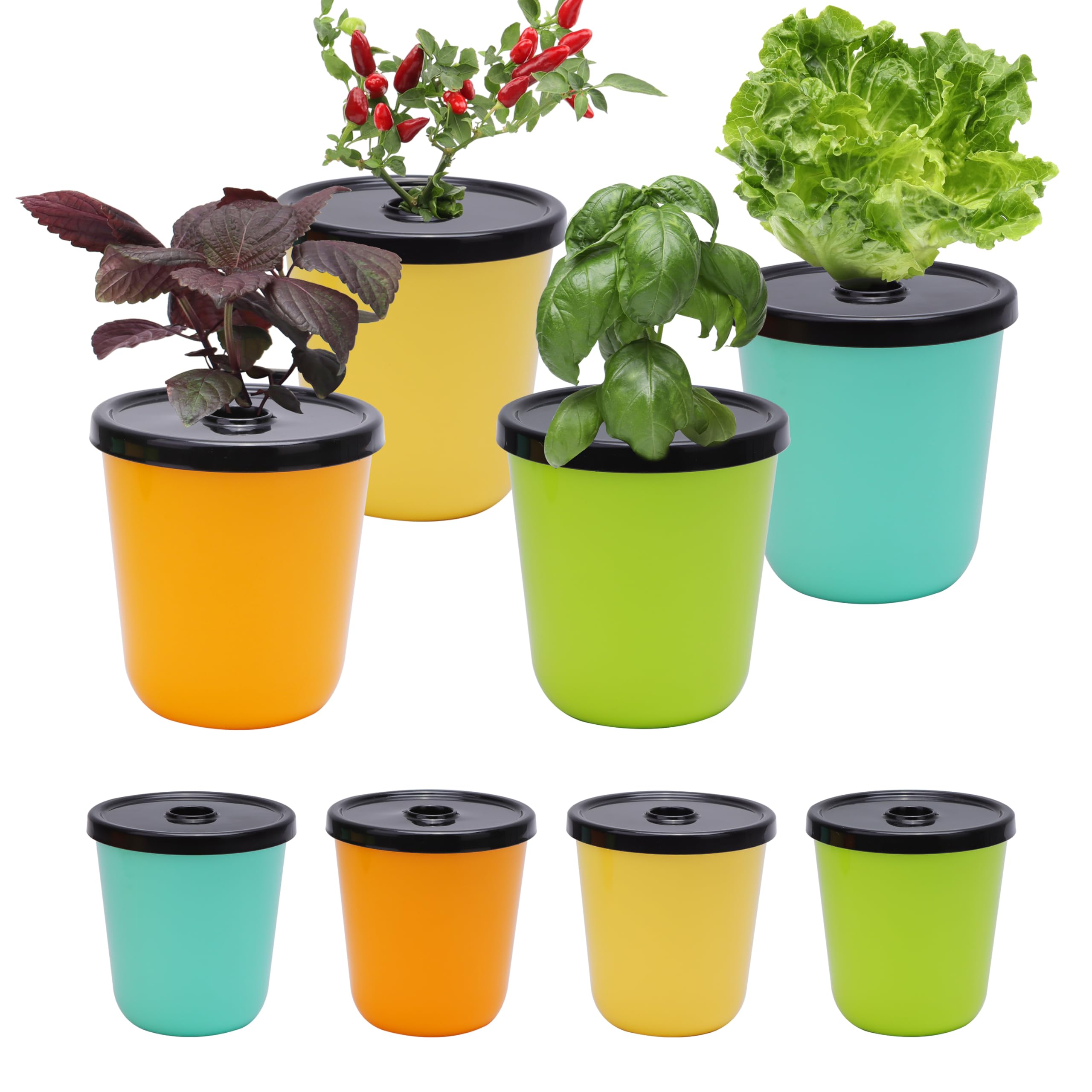 Kiicii Kratky hydroponic planter with 8 pots on a sunny windowsill for herbs.