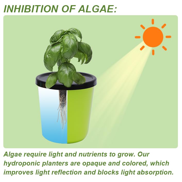 Kiicii opaque planters reduce algae by blocking light for cleaner hydroponic growth.