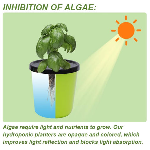 Kiicii opaque planters reduce algae by blocking light for cleaner hydroponic growth.