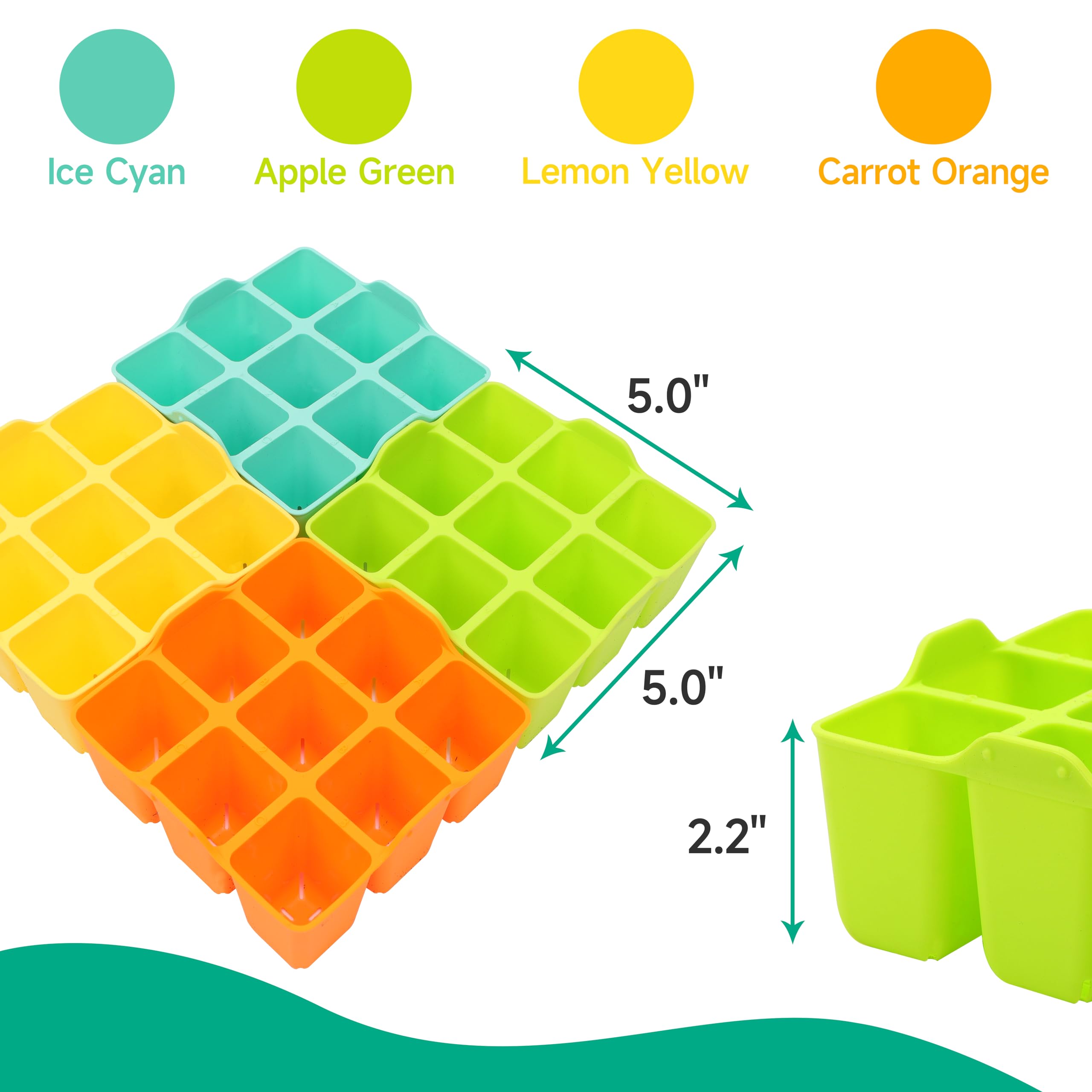 Kiicii seed starter tray in Apple Green showing easy pop-out cells for transplanting.