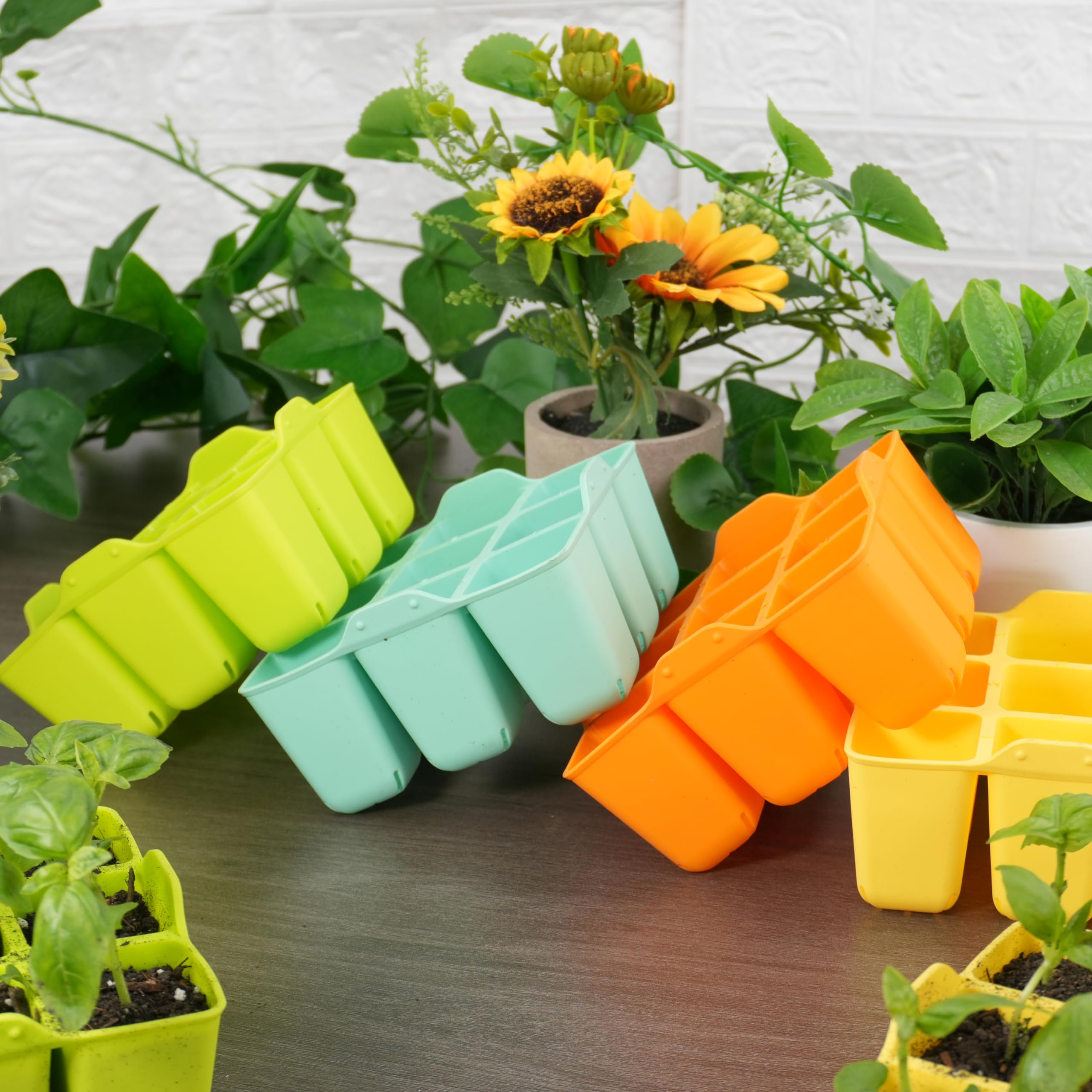 Kiicii seed starter tray with flexible pop-out cells reduces transplant stress.
