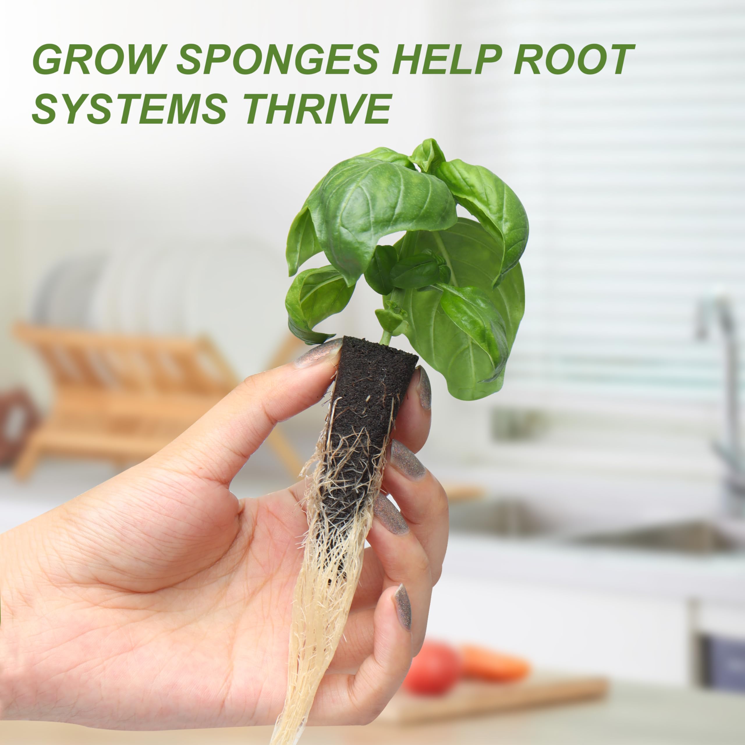 Kiicii hydroponic pots add vibrant decor to home or office spaces.