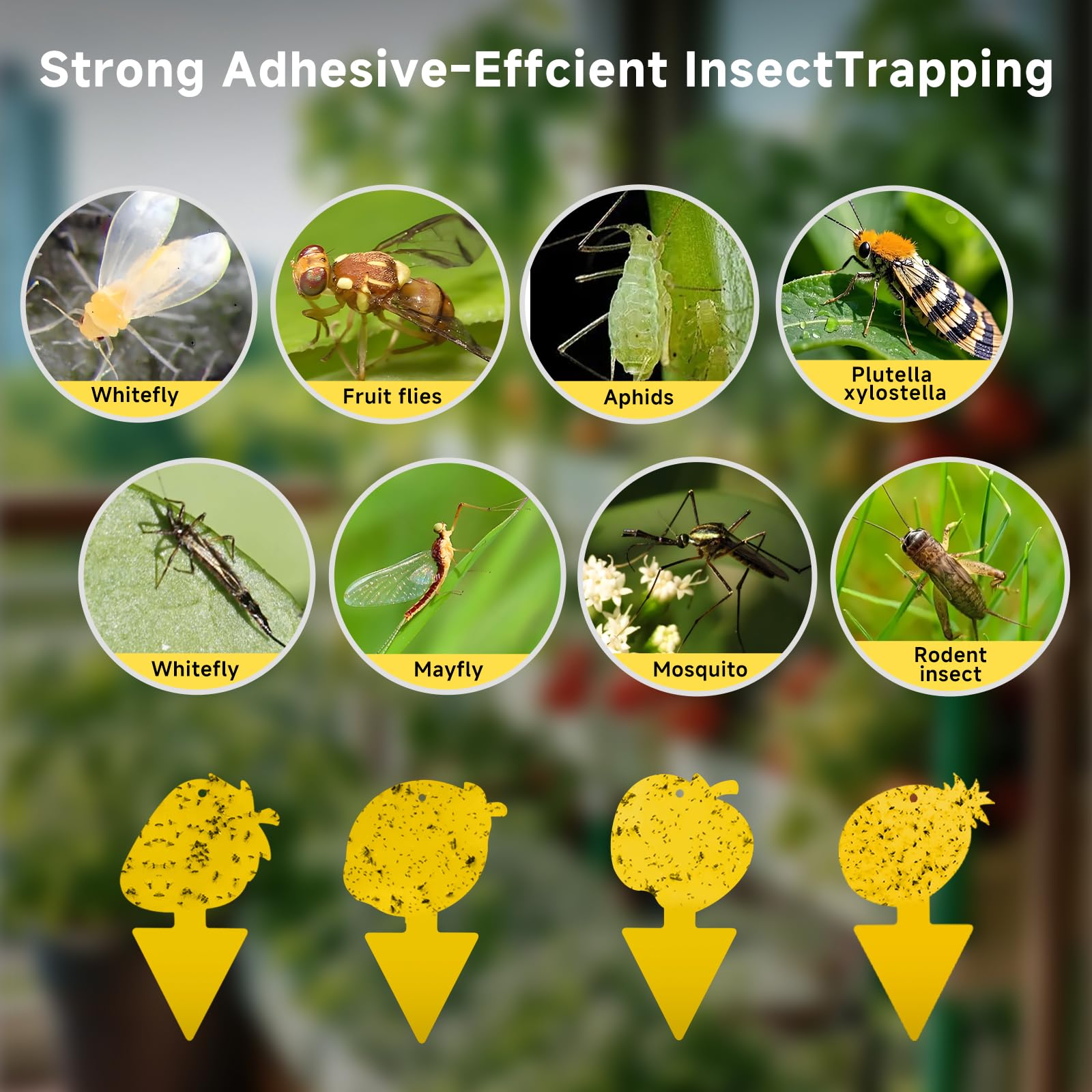 KIKALIFE in-soil trap in yellow sticky glue easy to insert near plants