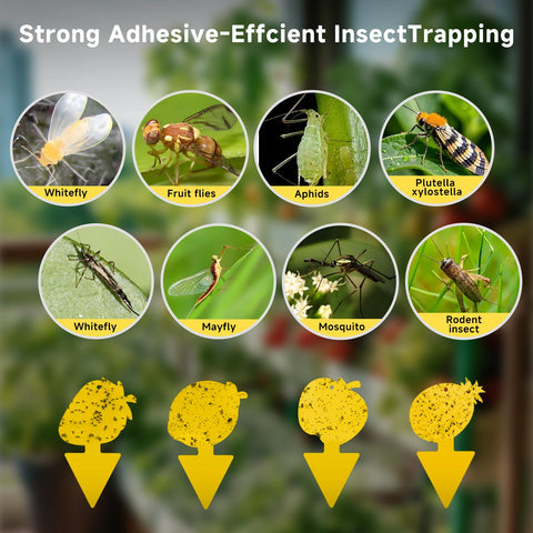 KIKALIFE in-soil trap in yellow sticky glue easy to insert near plants