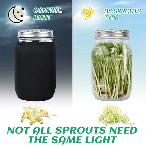 Kikerike mesh lids provide airflow while draining, keeping sprouts clean.