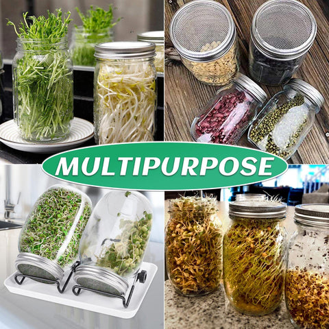 Kikerike microgreens-ready jars fit home kitchens for fresh, convenient greens.