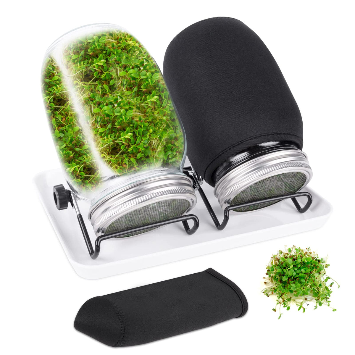 Kikerike seed sprouting jar kit: two glass jars for growing multiple sprouts at once.