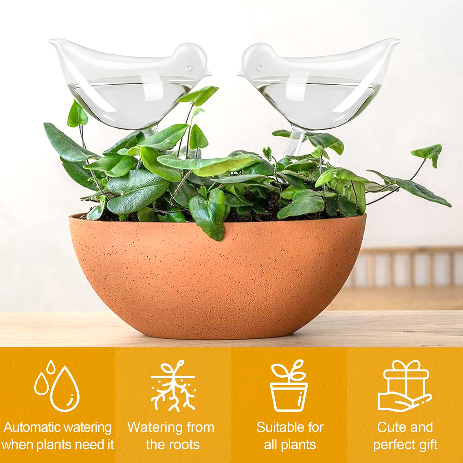 KiKiHeim clear glass globes deliver gentle drip irrigation for thriving plants.