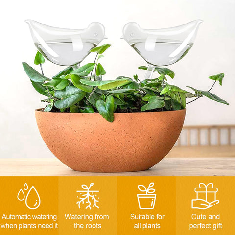 KiKiHeim clear glass globes deliver gentle drip irrigation for thriving plants.