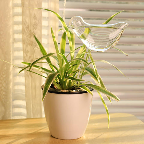 KiKiHeim decorative glass watering bulbs enhance plant care and home aesthetics.