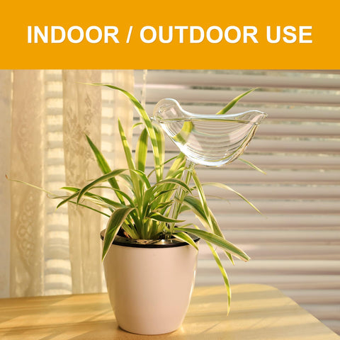 KiKiHeim glass plant watering bulbs in action for indoor and outdoor plants.