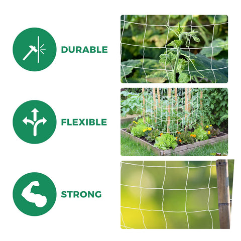 Kikhope trellis netting installed in garden setup for versatile support.