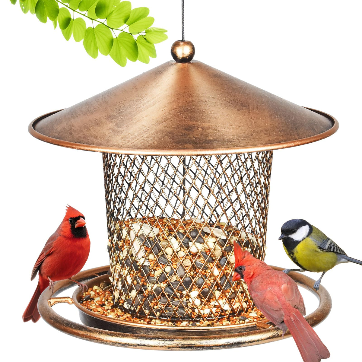 Kimchomerse gazebo-roof feeder provides sheltered feeding for garden birds.