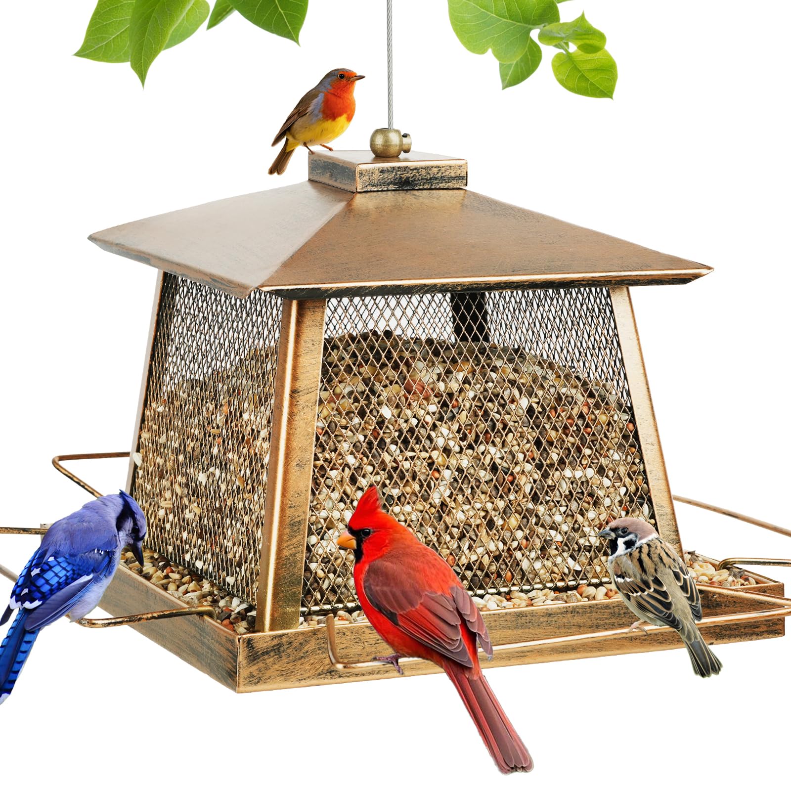 KIMCHOMERSE large bird feeder with gazebo roof, front view, inviting cardinals and chickadees.