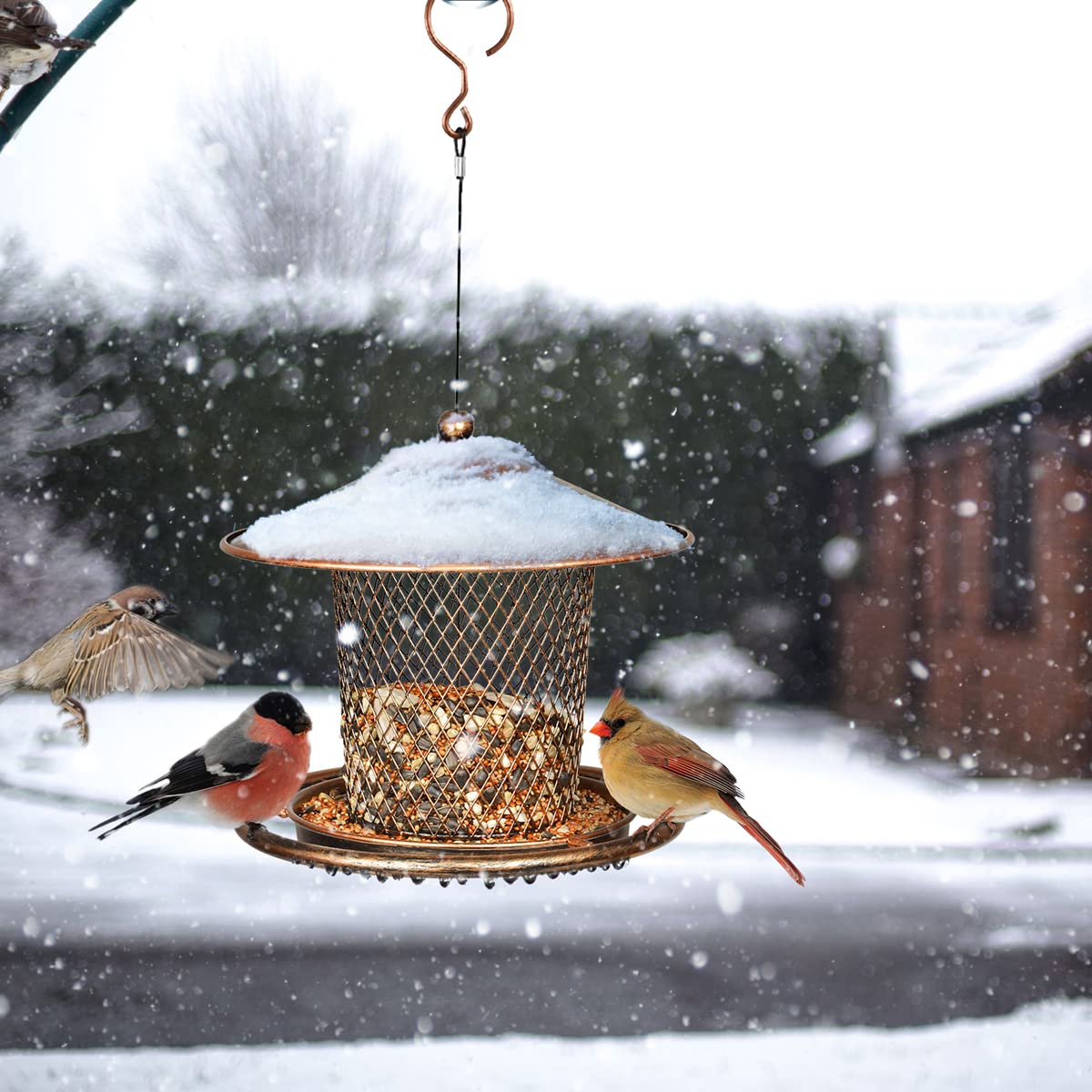Kimchomerse outdoor hanging feeder blends with garden decor.