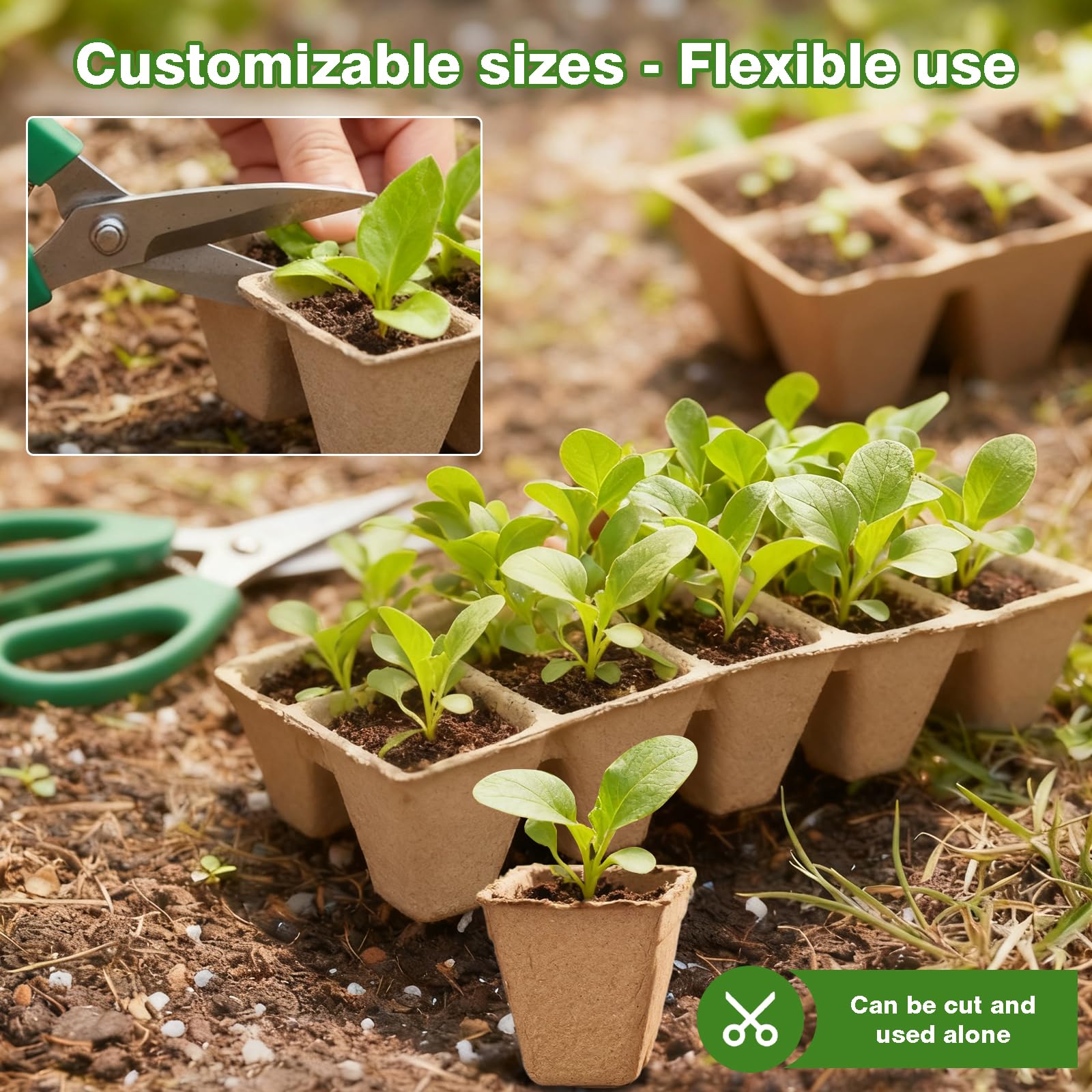 Natural pulp seed starter pots that decompose and enrich soil over time.