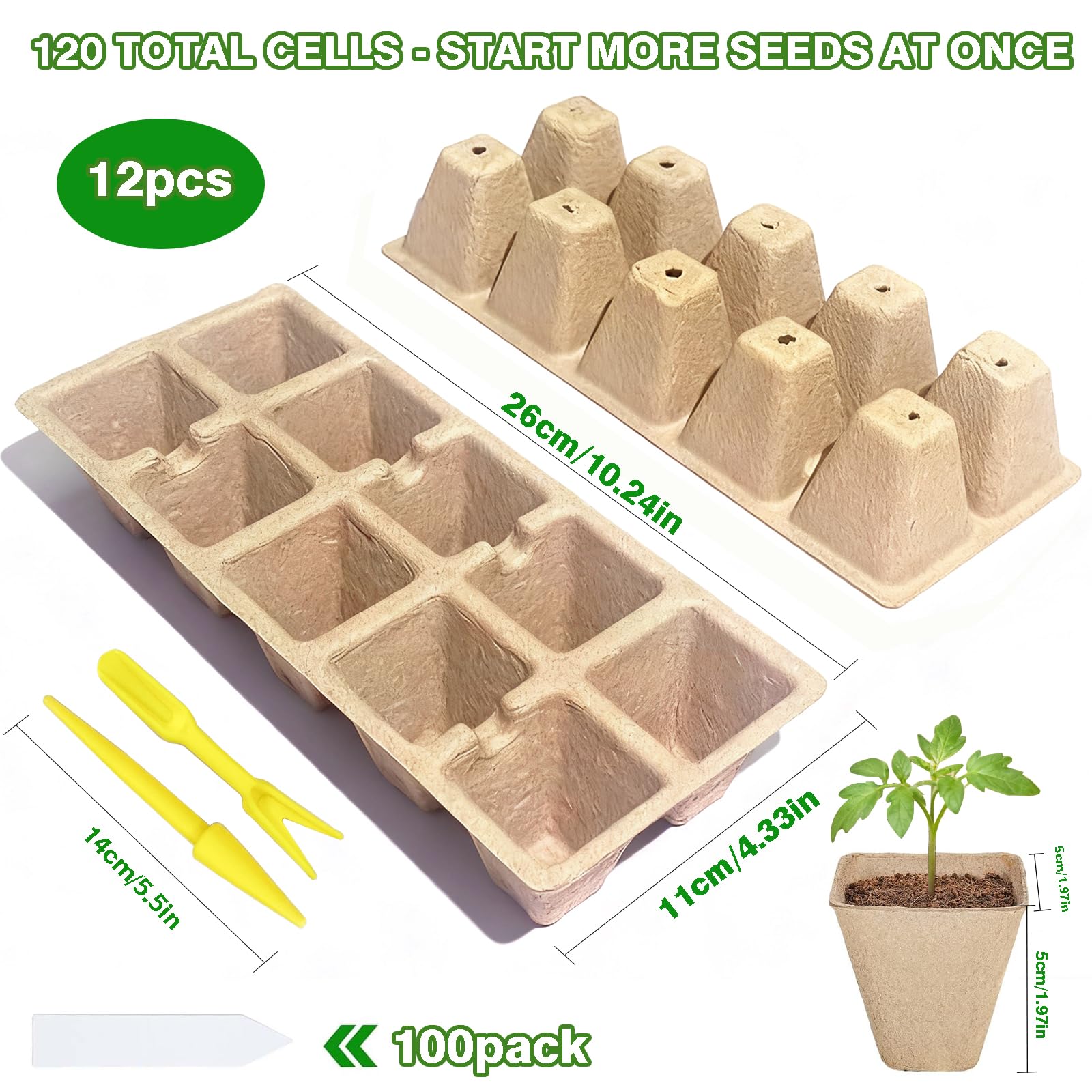 Peat pots from Kimdooze seed kit supporting breathable root growth for seedlings.