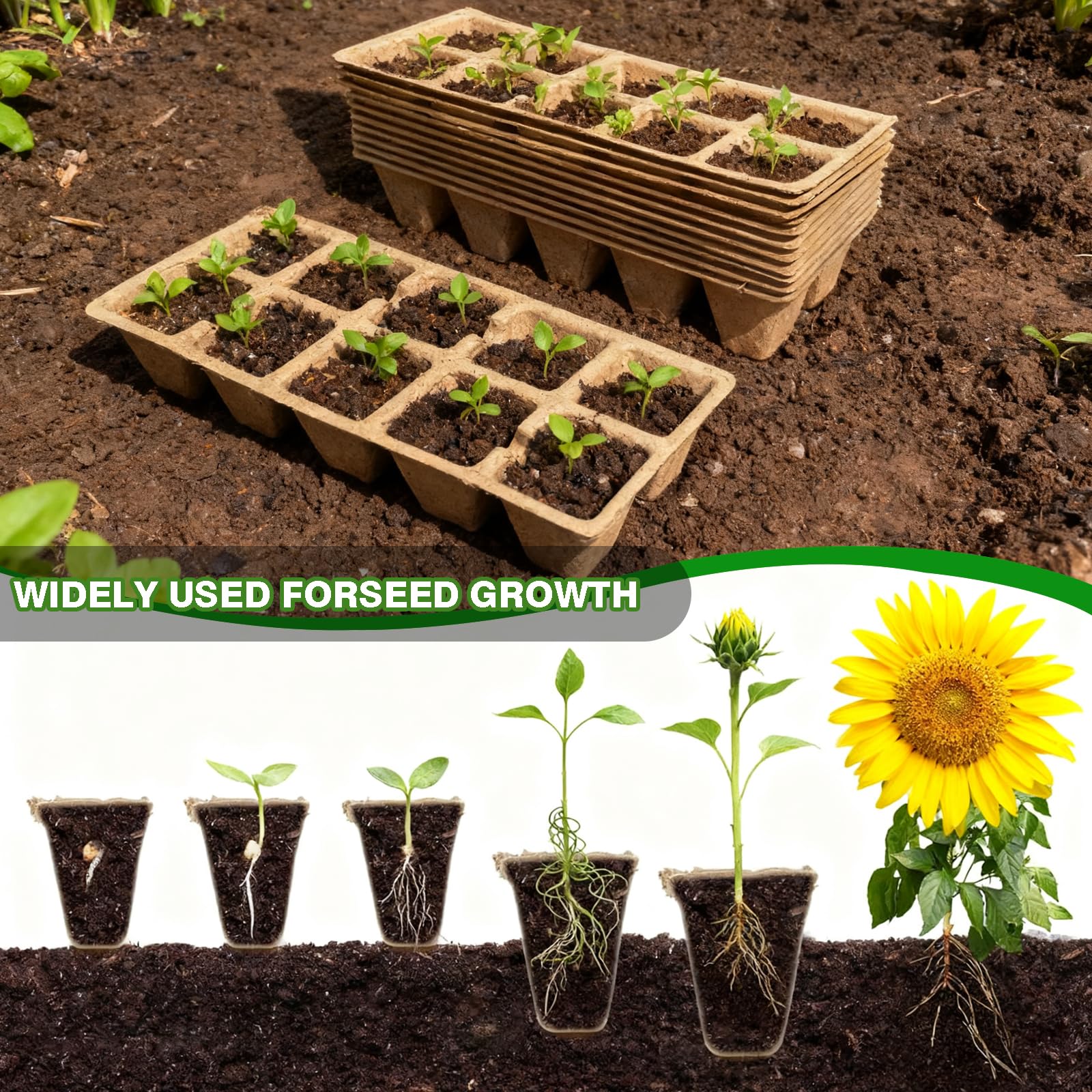 Two transplant tools included in the Kimdooze kit for careful seedling handling.