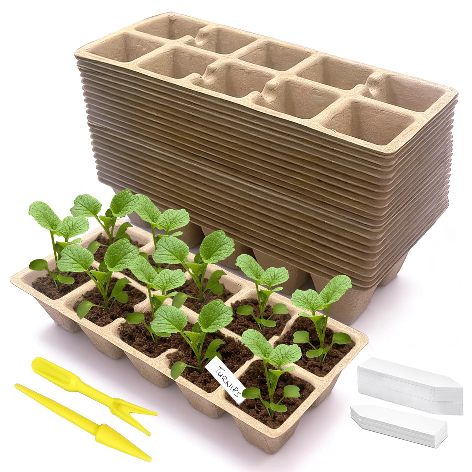 Kimdozee 240-cell seed starter tray top view, ideal for efficient seed germination.